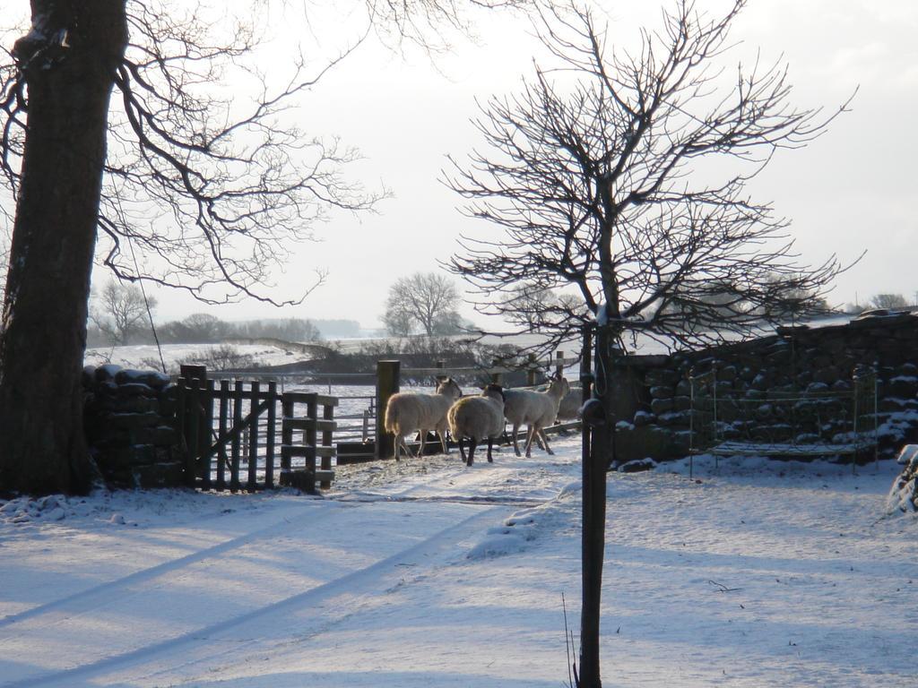Littlebank Country House Settle Exteriér fotografie